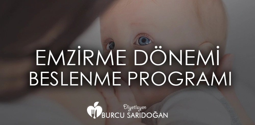 Emzirme Dönemi Beslenme Programı